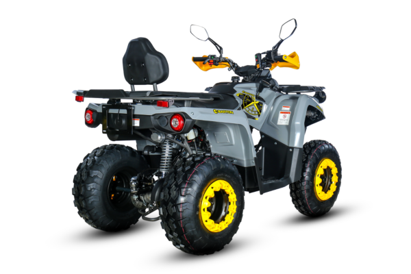 Barton Discover 200 szary widok z tyłu 2